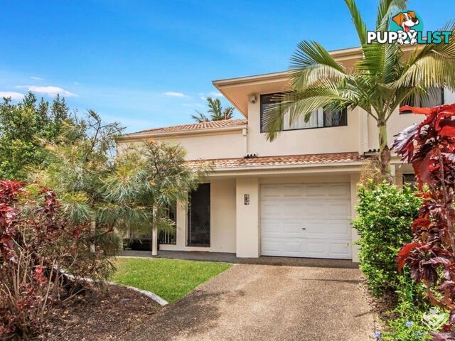 ID:21141070/2-6 Gentian Drive Arundel QLD 4214