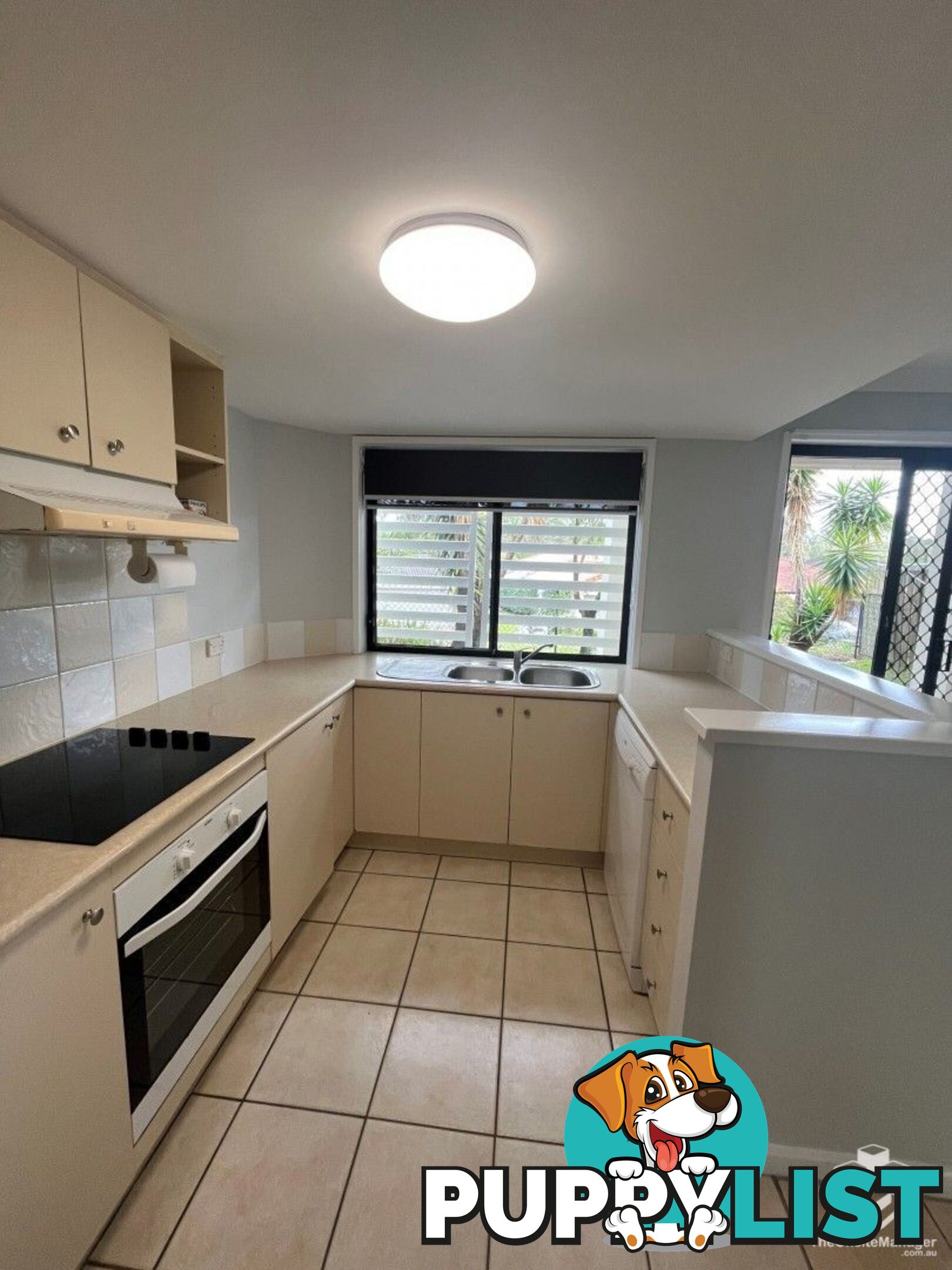 ID:21141070/2-6 Gentian Drive Arundel QLD 4214