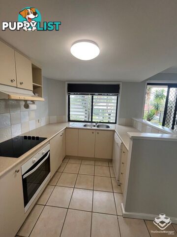 ID:21141070/2-6 Gentian Drive Arundel QLD 4214