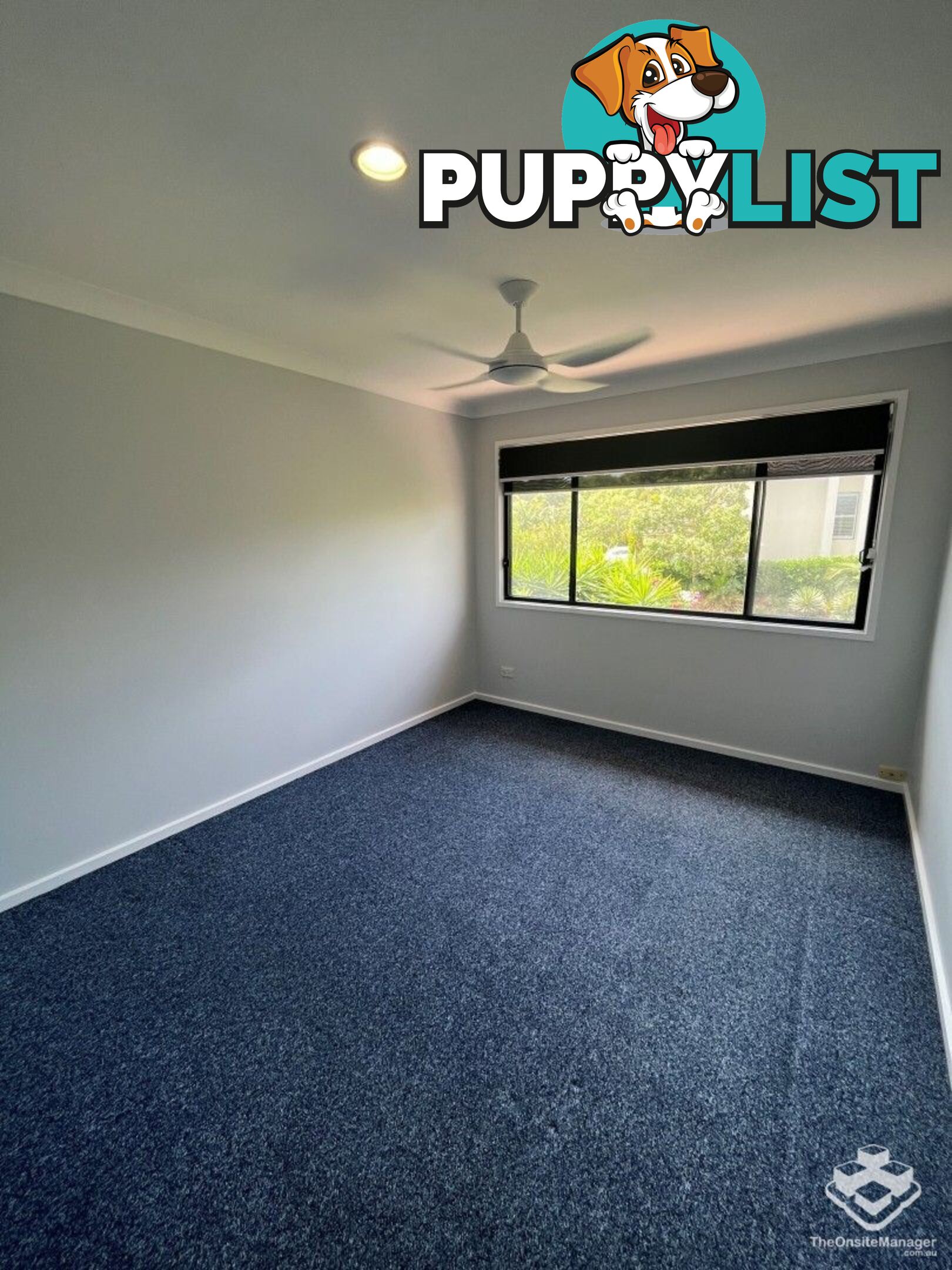 ID:21141070/2-6 Gentian Drive Arundel QLD 4214