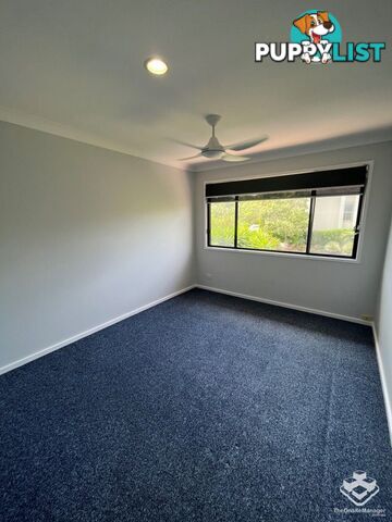 ID:21141070/2-6 Gentian Drive Arundel QLD 4214