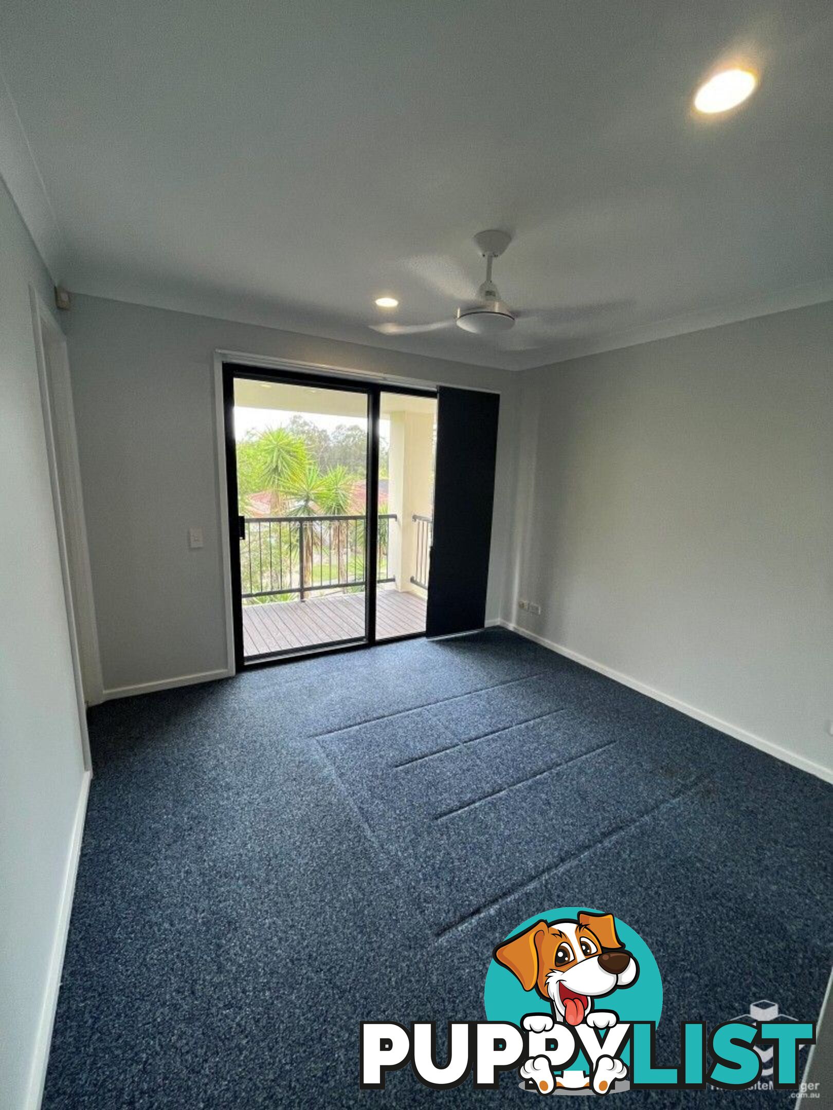 ID:21141070/2-6 Gentian Drive Arundel QLD 4214