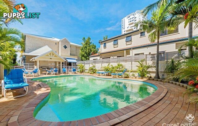 21/43 Cypress Avenue Surfers Paradise QLD 4217