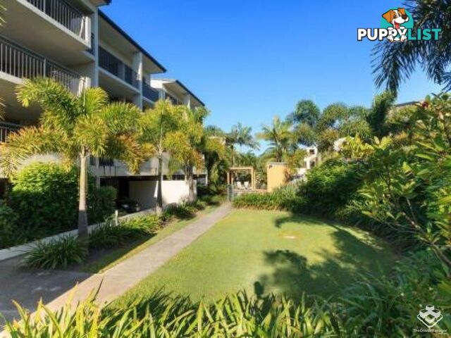 ID:21154750 18 Mascar Street Upper Mount Gravatt QLD 4122