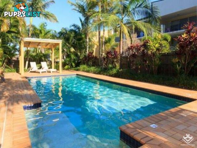ID:21154750 18 Mascar Street Upper Mount Gravatt QLD 4122