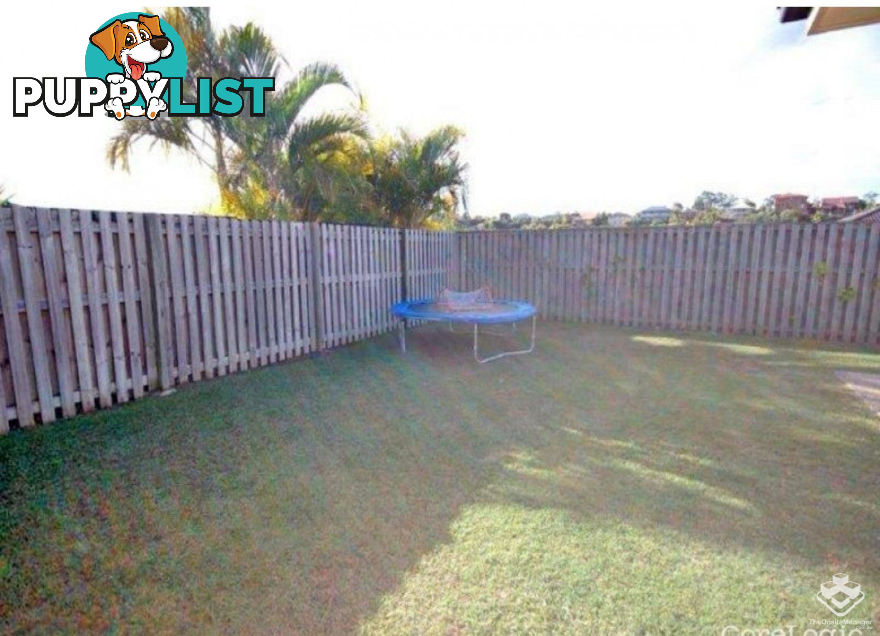 5 Buffalo Crescent Pacific Pines QLD 4211