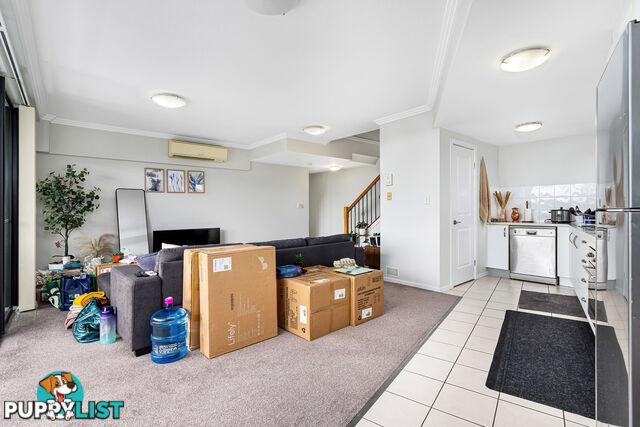 20/3 Lindwall Street Upper Mount Gravatt QLD 4122