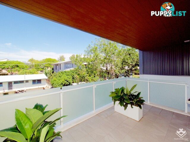 88 Waldheim Street Annerley QLD 4103