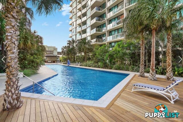 ID:21157401 24 Stratton Street Newstead QLD 4006
