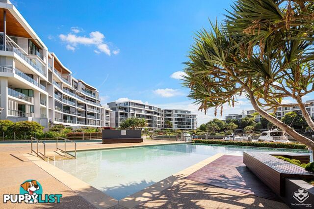 ID:21150916 323 Bayview Street Hollywell QLD 4216