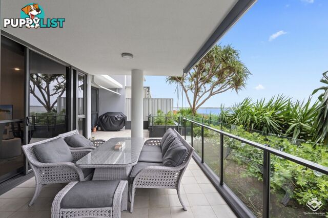 ID:21150916 323 Bayview Street Hollywell QLD 4216