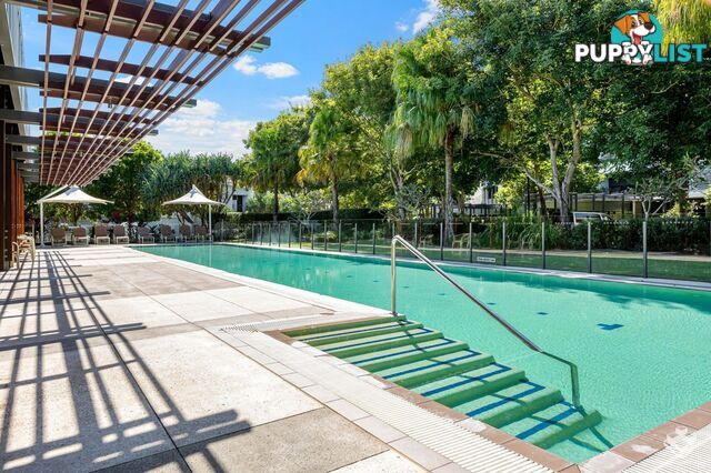 ID:21150916 323 Bayview Street Hollywell QLD 4216
