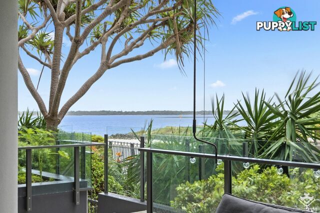 ID:21150916 323 Bayview Street Hollywell QLD 4216