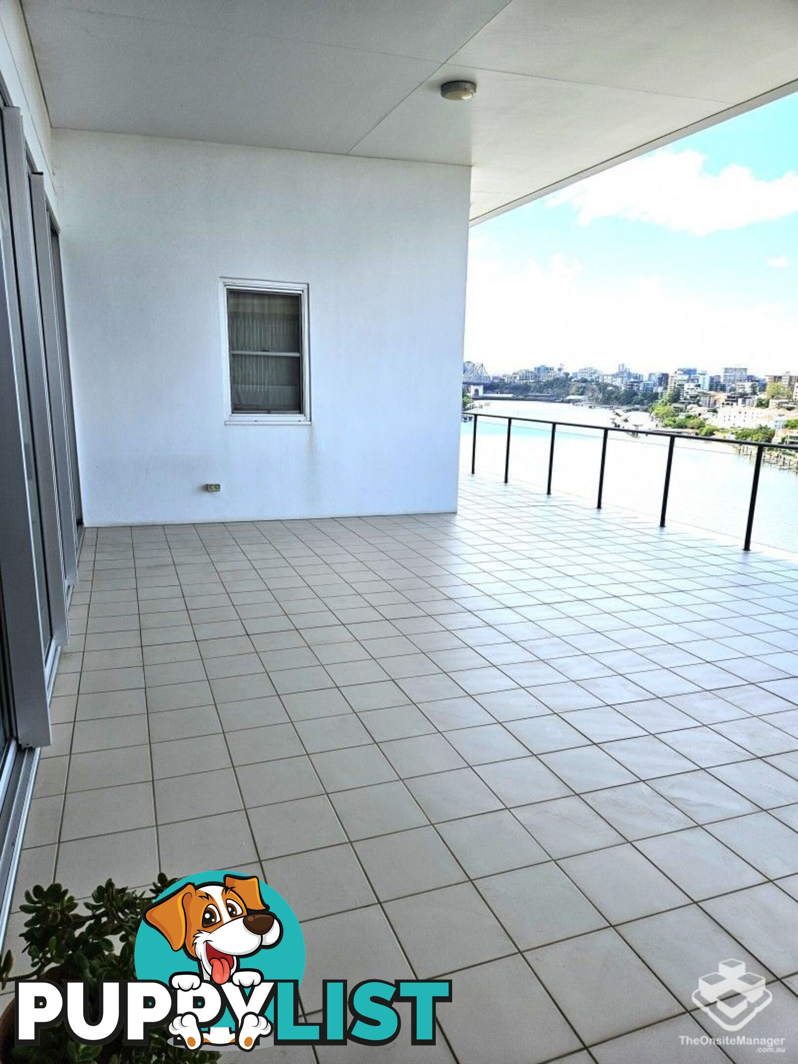 ID:21147742 98 Thorn Street Kangaroo Point QLD 4169