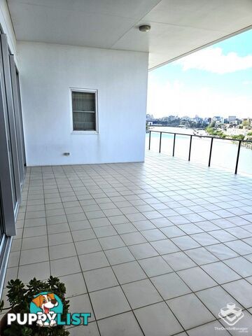 ID:21147742 98 Thorn Street Kangaroo Point QLD 4169