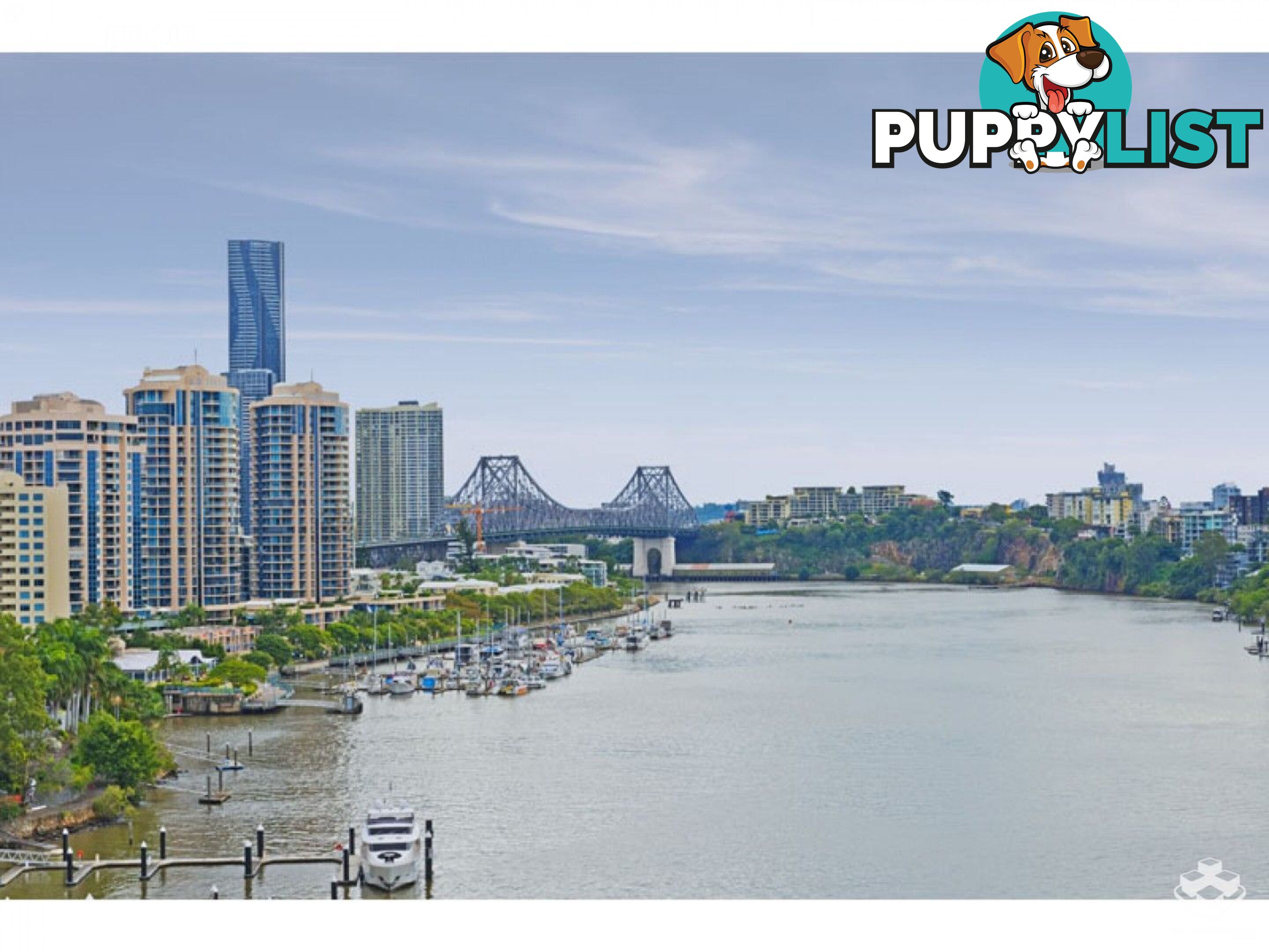 ID:21147742 98 Thorn Street Kangaroo Point QLD 4169