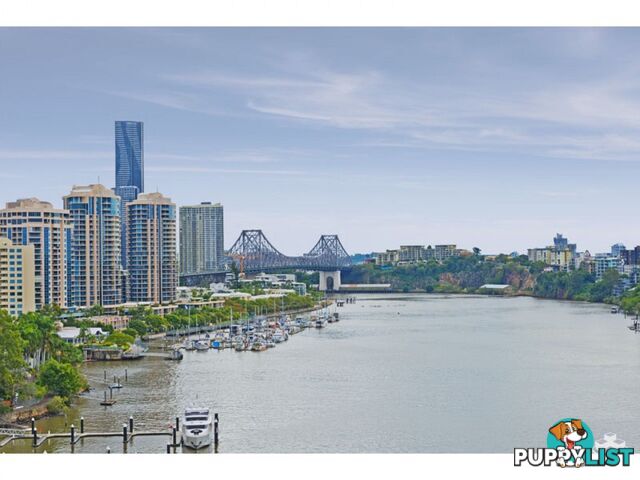 ID:21147742 98 Thorn Street Kangaroo Point QLD 4169
