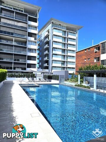 ID:21147742 98 Thorn Street Kangaroo Point QLD 4169