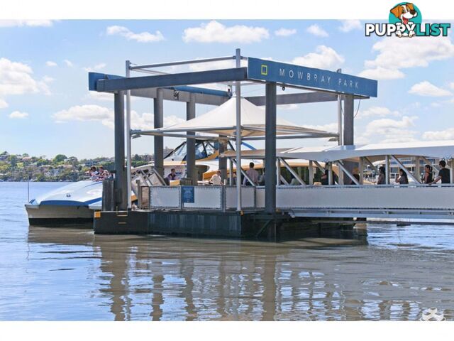 ID:21147742 98 Thorn Street Kangaroo Point QLD 4169