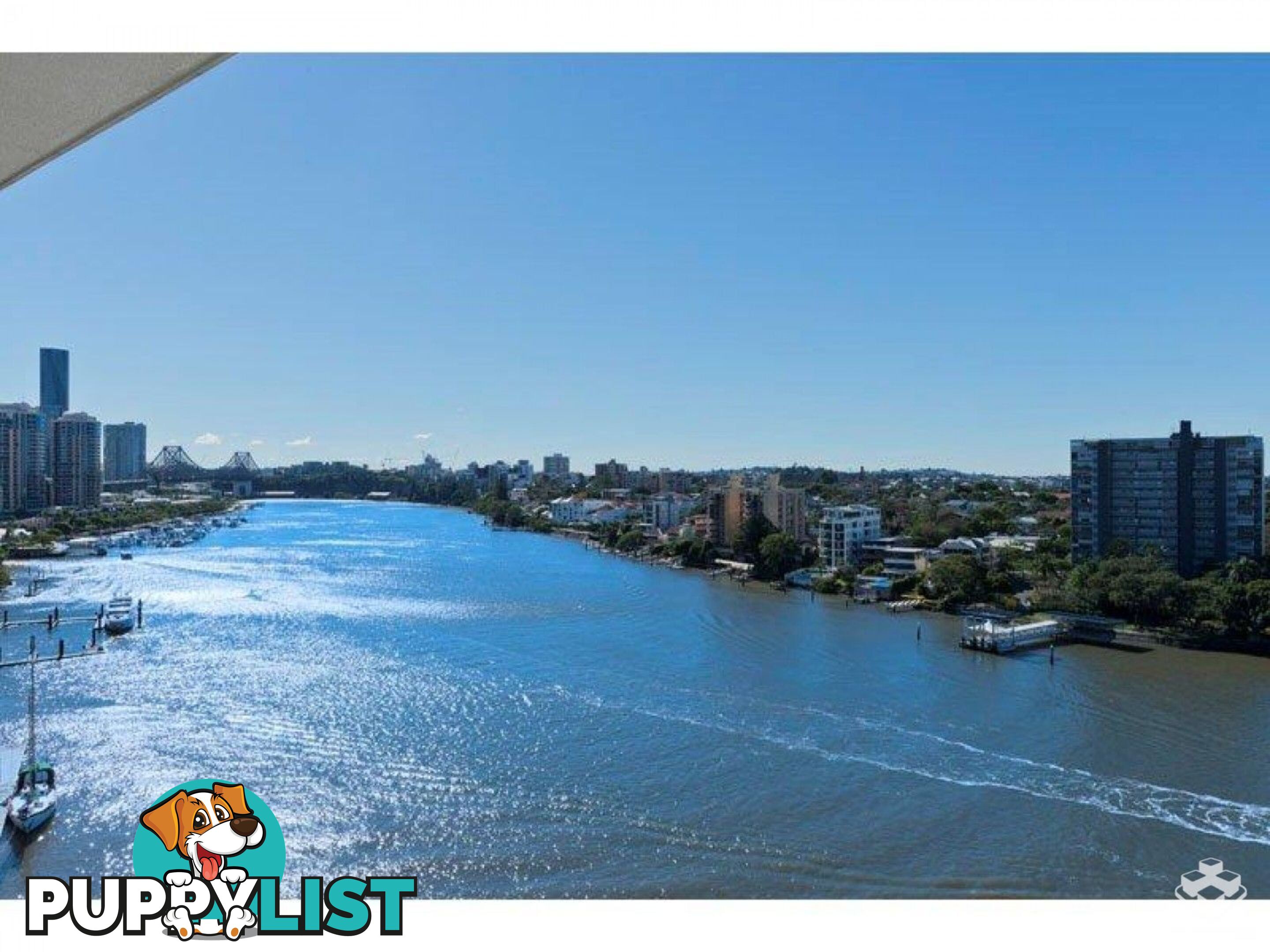 ID:21147742 98 Thorn Street Kangaroo Point QLD 4169