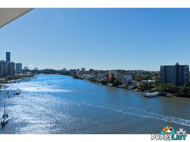 ID:21147742 98 Thorn Street Kangaroo Point QLD 4169
