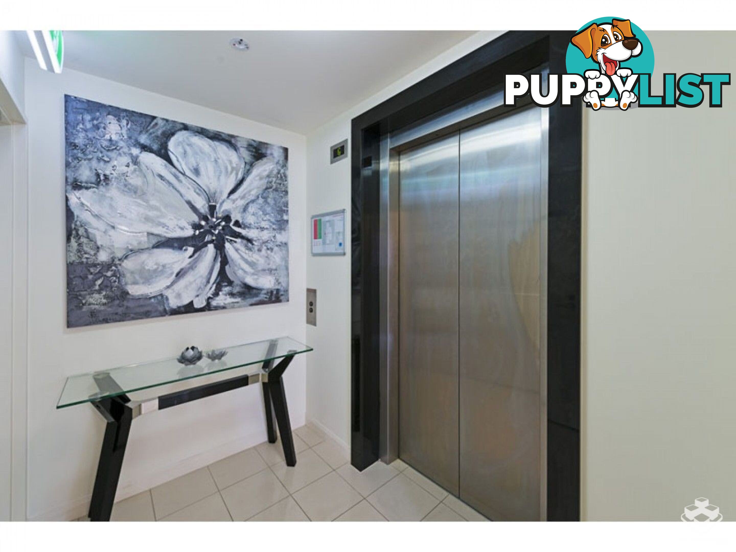 ID:21147742 98 Thorn Street Kangaroo Point QLD 4169