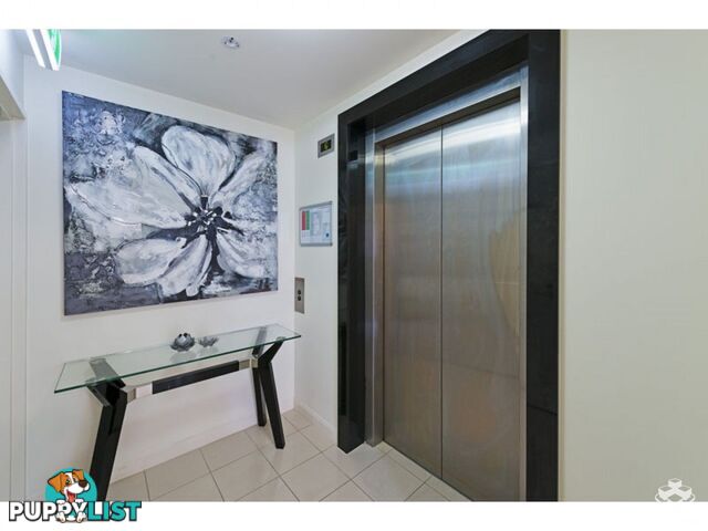 ID:21147742 98 Thorn Street Kangaroo Point QLD 4169