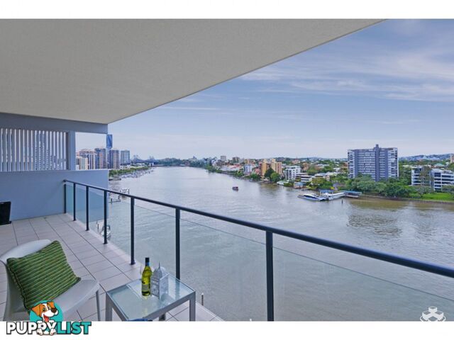 ID:21147742 98 Thorn Street Kangaroo Point QLD 4169