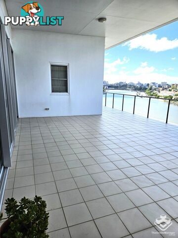 ID:21147742 98 Thorn Street Kangaroo Point QLD 4169