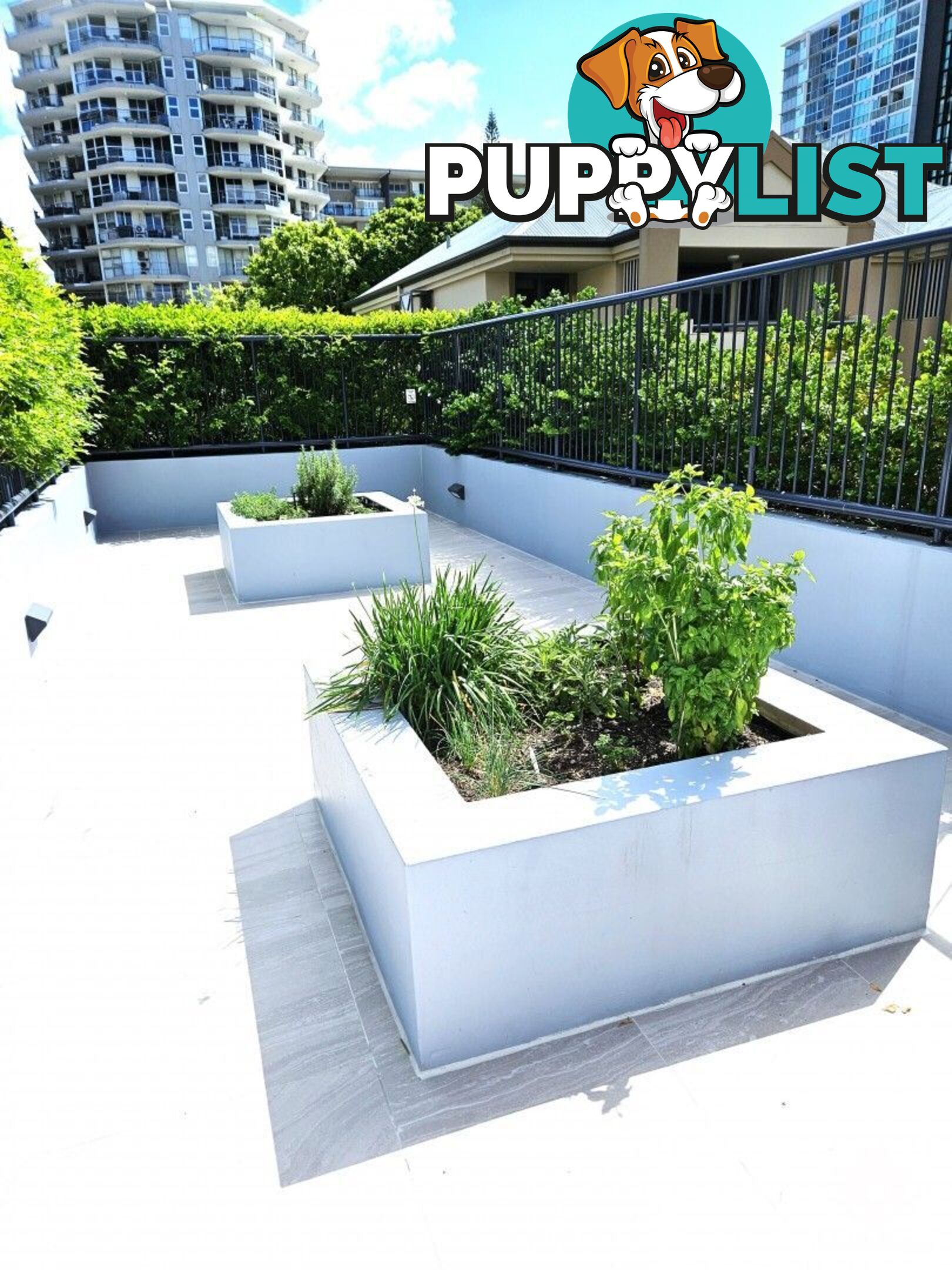 ID:21147742 98 Thorn Street Kangaroo Point QLD 4169