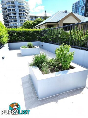 ID:21147742 98 Thorn Street Kangaroo Point QLD 4169