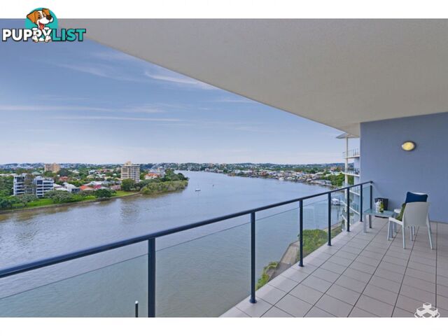 ID:21147742 98 Thorn Street Kangaroo Point QLD 4169
