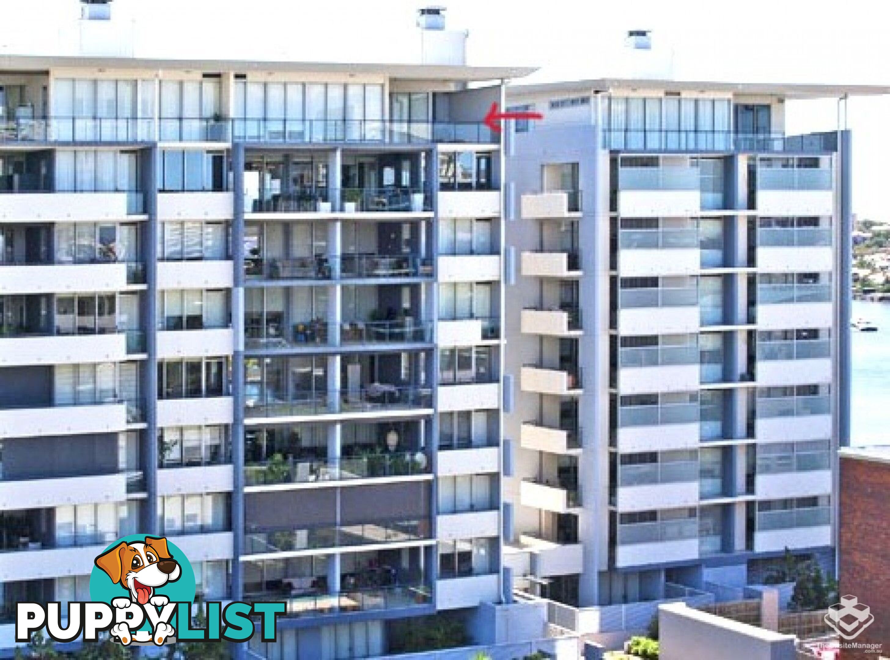 ID:21147742 98 Thorn Street Kangaroo Point QLD 4169