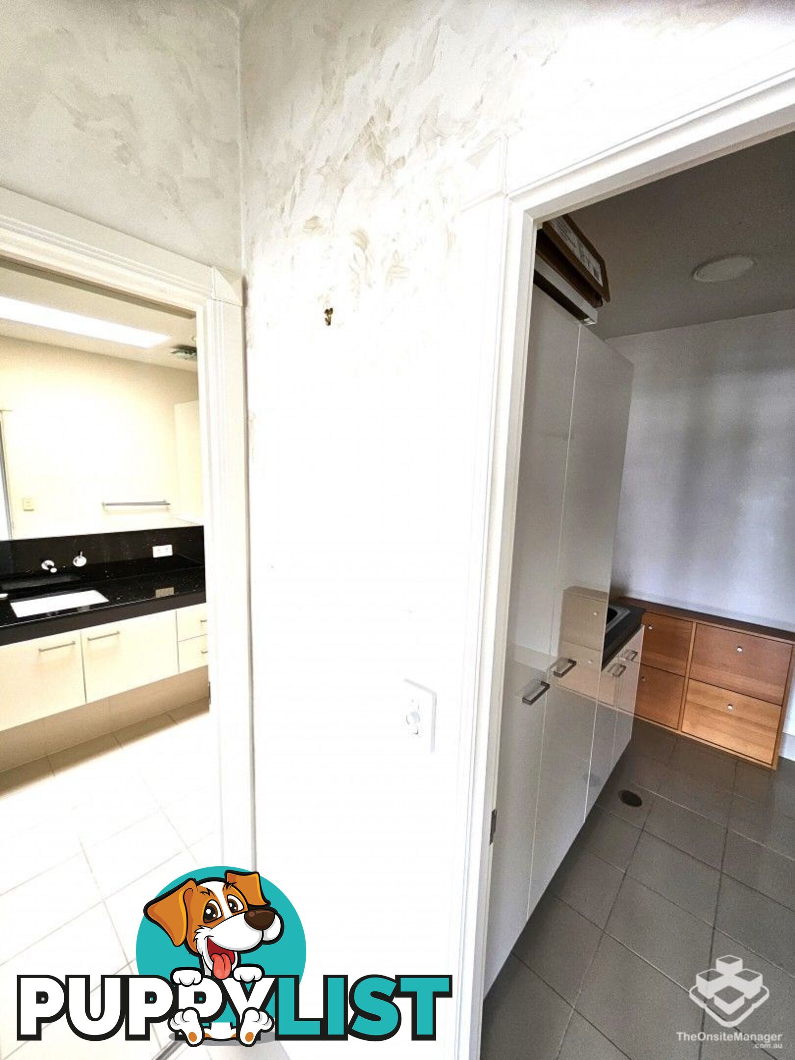 ID:21147742 98 Thorn Street Kangaroo Point QLD 4169