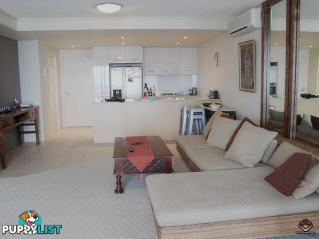 ID:3823793/105 Scarborough Street Southport qld 4215