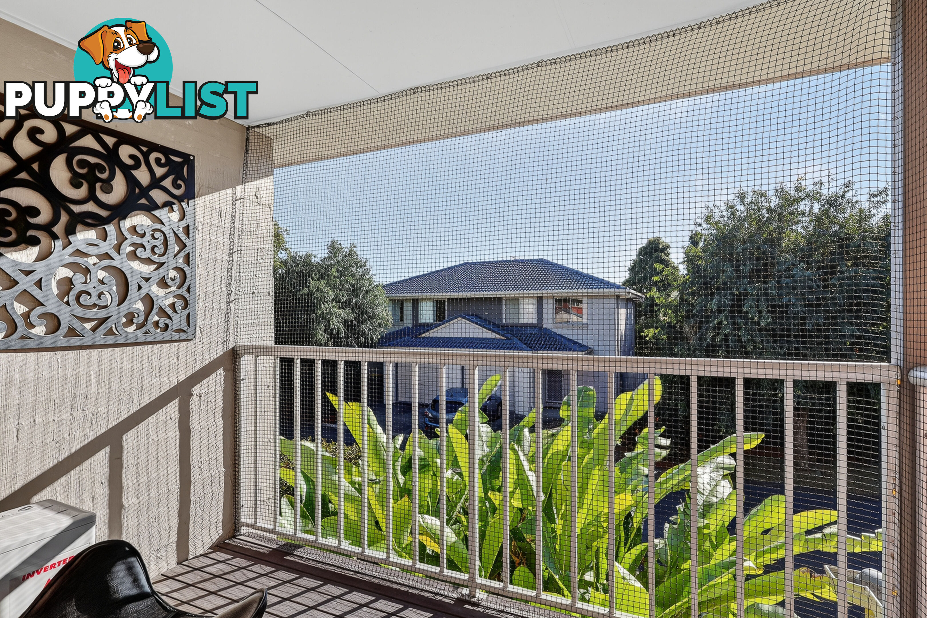 ID:21157342 6 Myrtle Crescent Bridgeman Downs QLD 4035