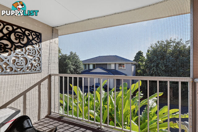 ID:21157342 6 Myrtle Crescent Bridgeman Downs QLD 4035