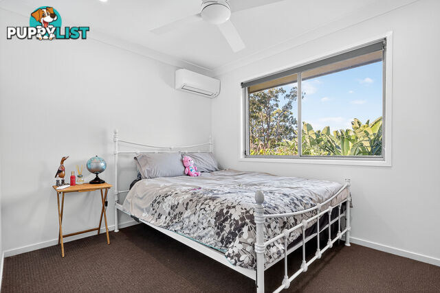 ID:21157342 6 Myrtle Crescent Bridgeman Downs QLD 4035