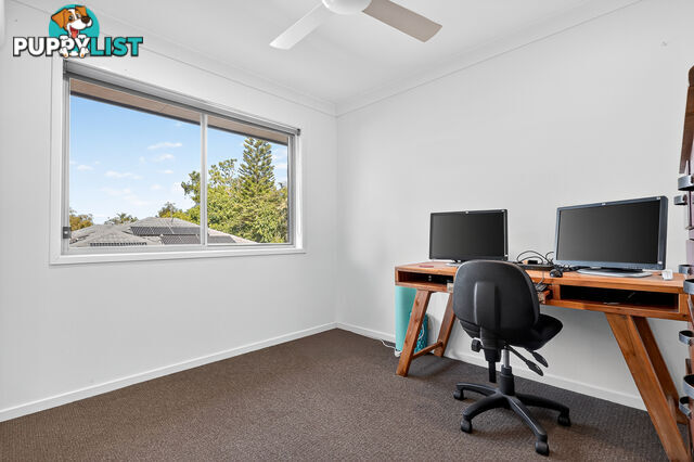 ID:21157342 6 Myrtle Crescent Bridgeman Downs QLD 4035