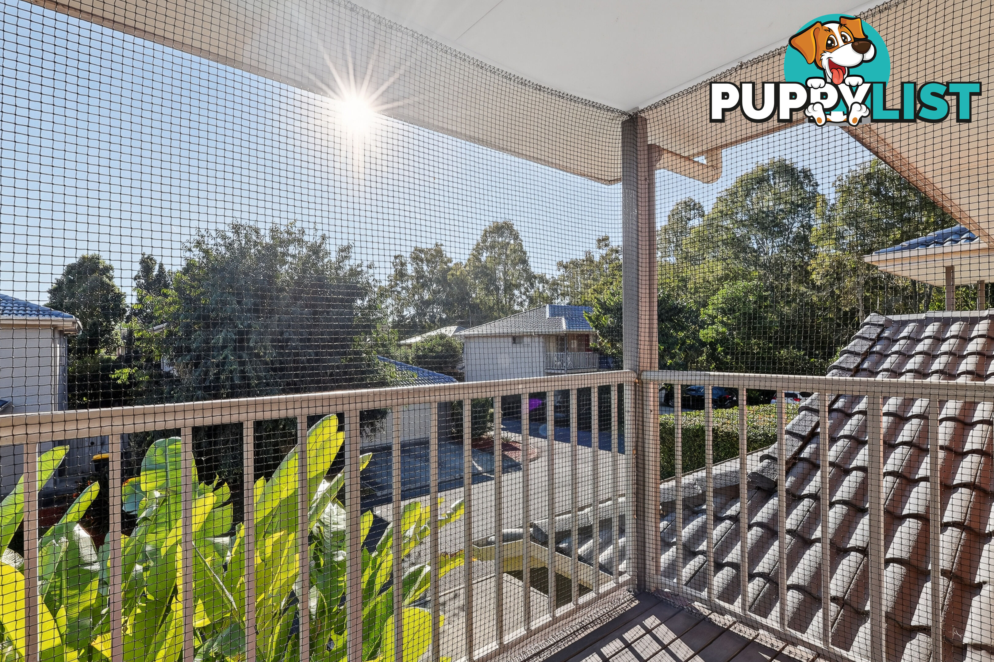 ID:21157342 6 Myrtle Crescent Bridgeman Downs QLD 4035