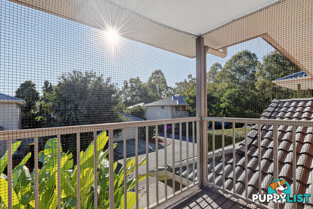 ID:21157342 6 Myrtle Crescent Bridgeman Downs QLD 4035