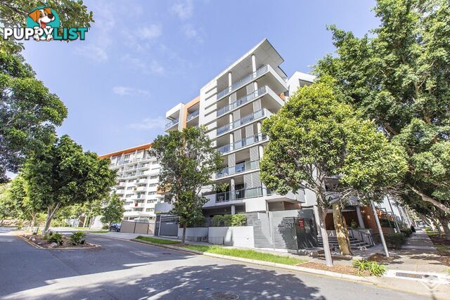 ID:21157257 31 Ramsgate Street Kelvin Grove Qld 4059