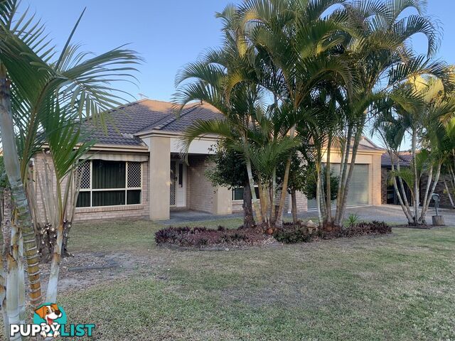 12 Mada Drive Upper Coomera QLD 4209