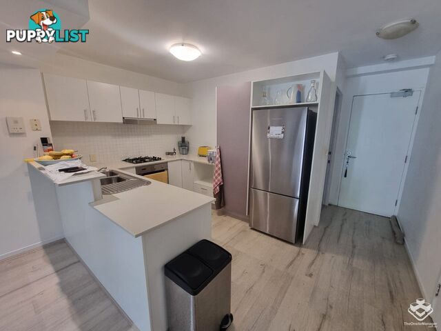 ID:21152575 10 Vernon Terrace Teneriffe QLD 4005