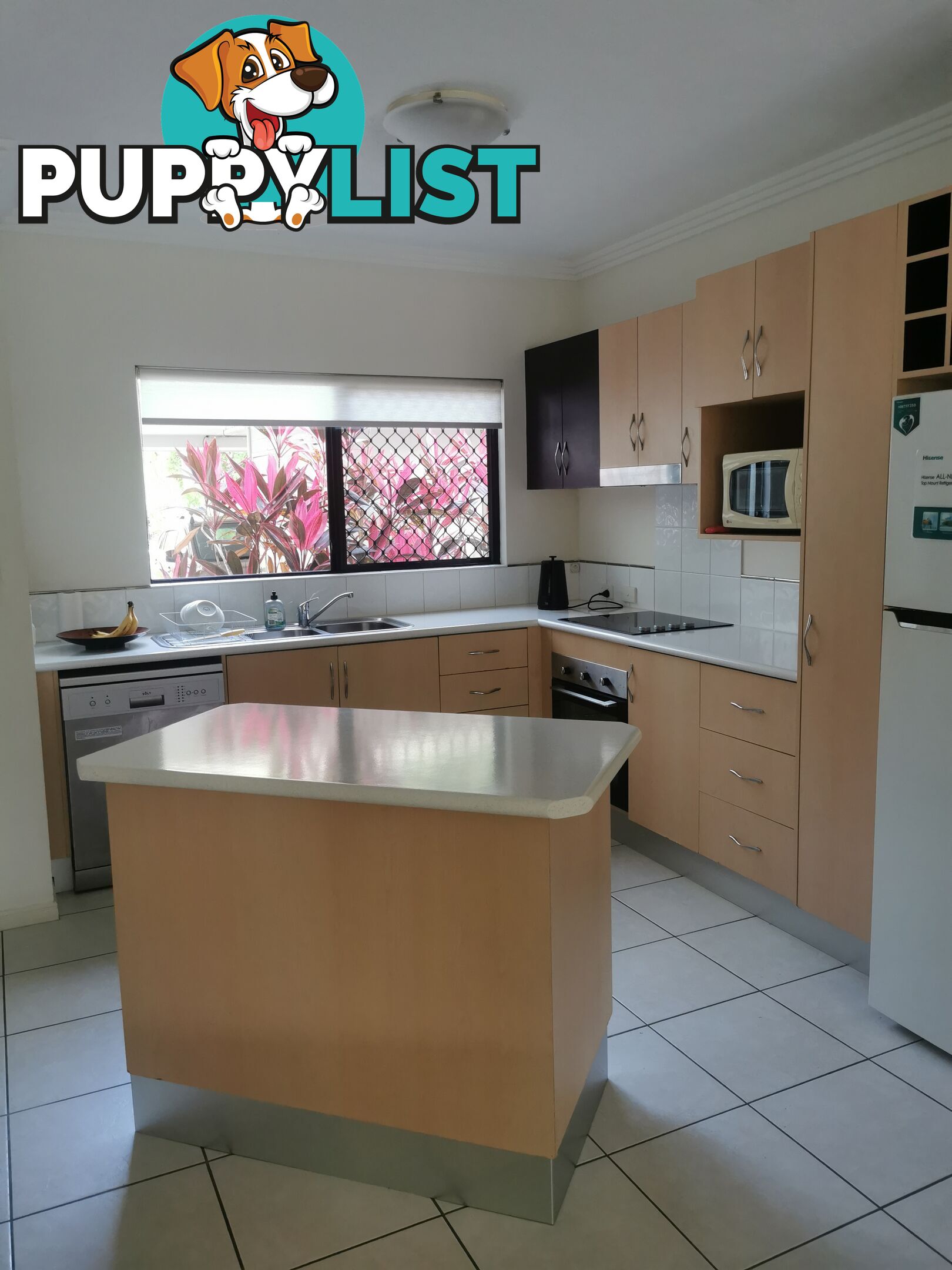ID:21156896 72-76 Trinity Beach RD Trinity Beach QLD 4879