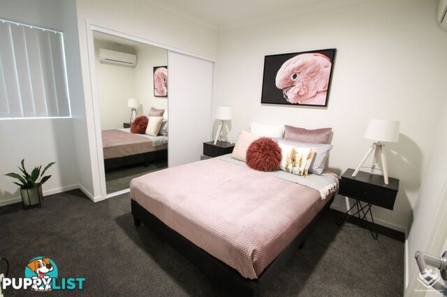 ID:21150965 6-10 Whites Road Whites Road Petrie QLD 4502