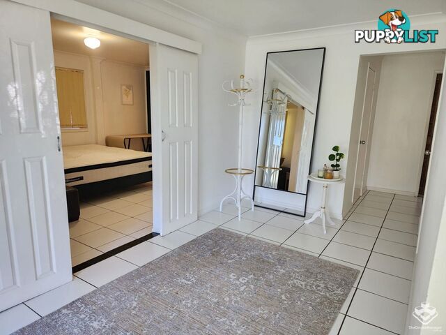 255 Stanley Road Carina QLD 4152