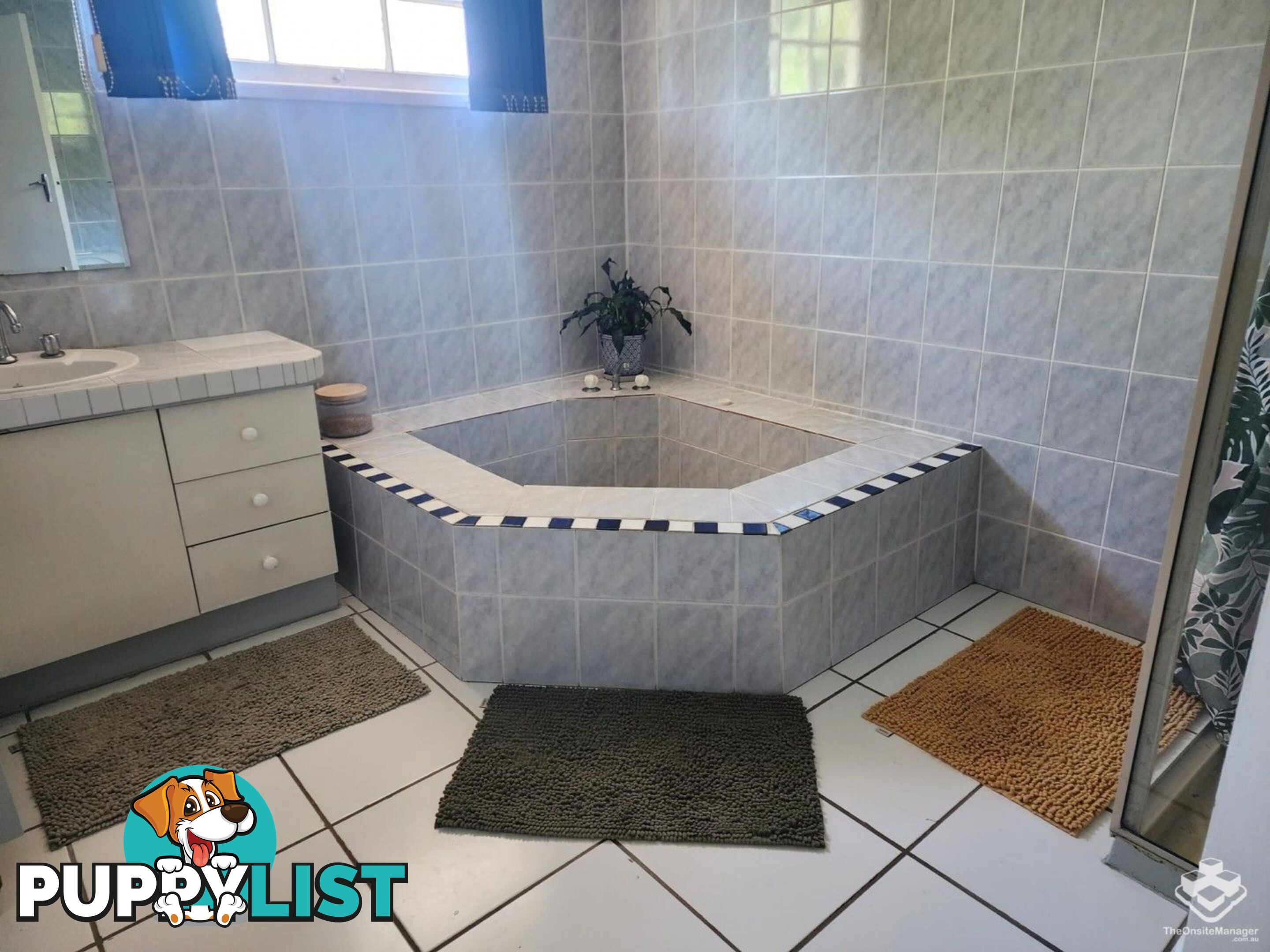 255 Stanley Road Carina QLD 4152