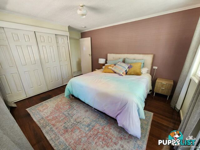255 Stanley Road Carina QLD 4152