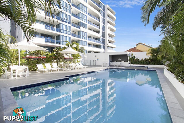 ID:21153808 19 Imperial Parade Labrador QLD 4215